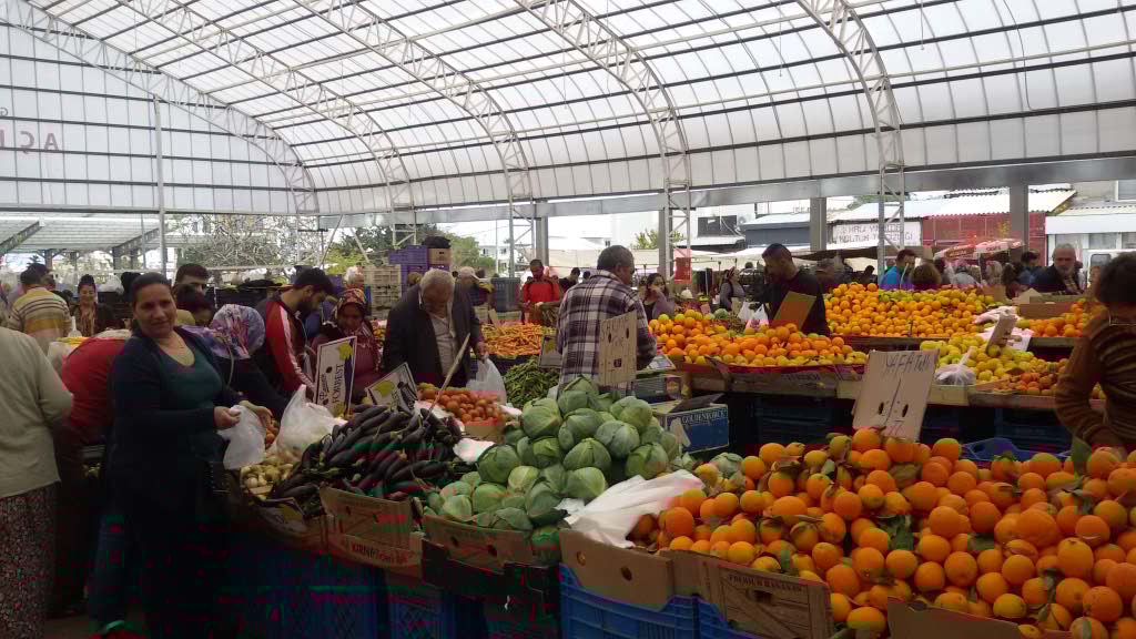 http://s8.picofile.com/file/8302949726/20160323_114723.jpg