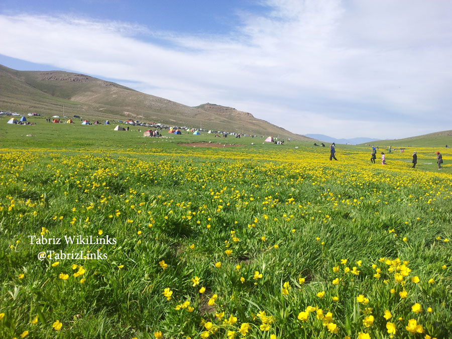 کوه کمر