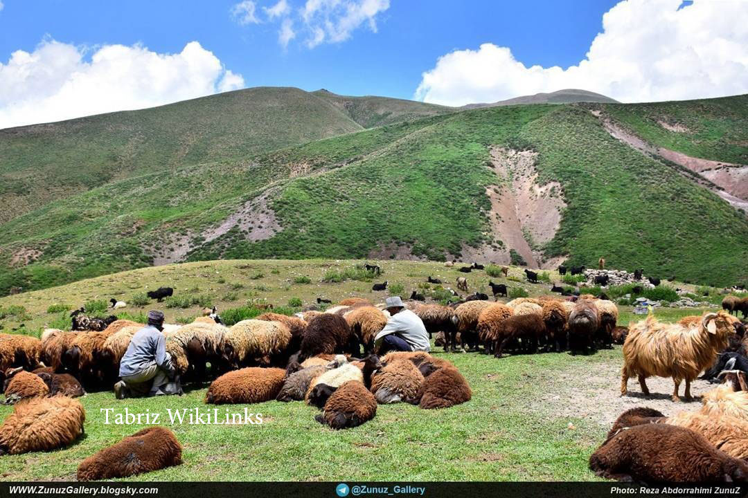 کوه سلطان