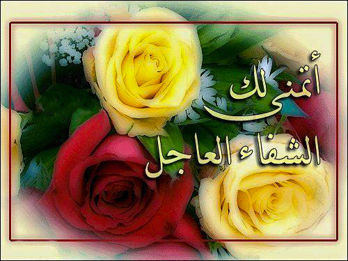 صور مکتوب علیها احلی کلام