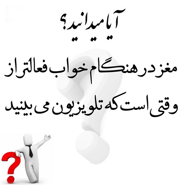 لاک پشت