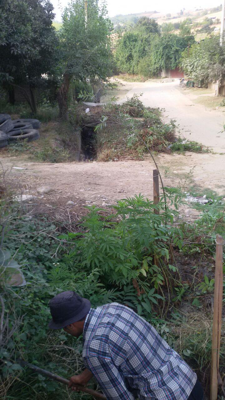 1_5_.jpg (720×1280)