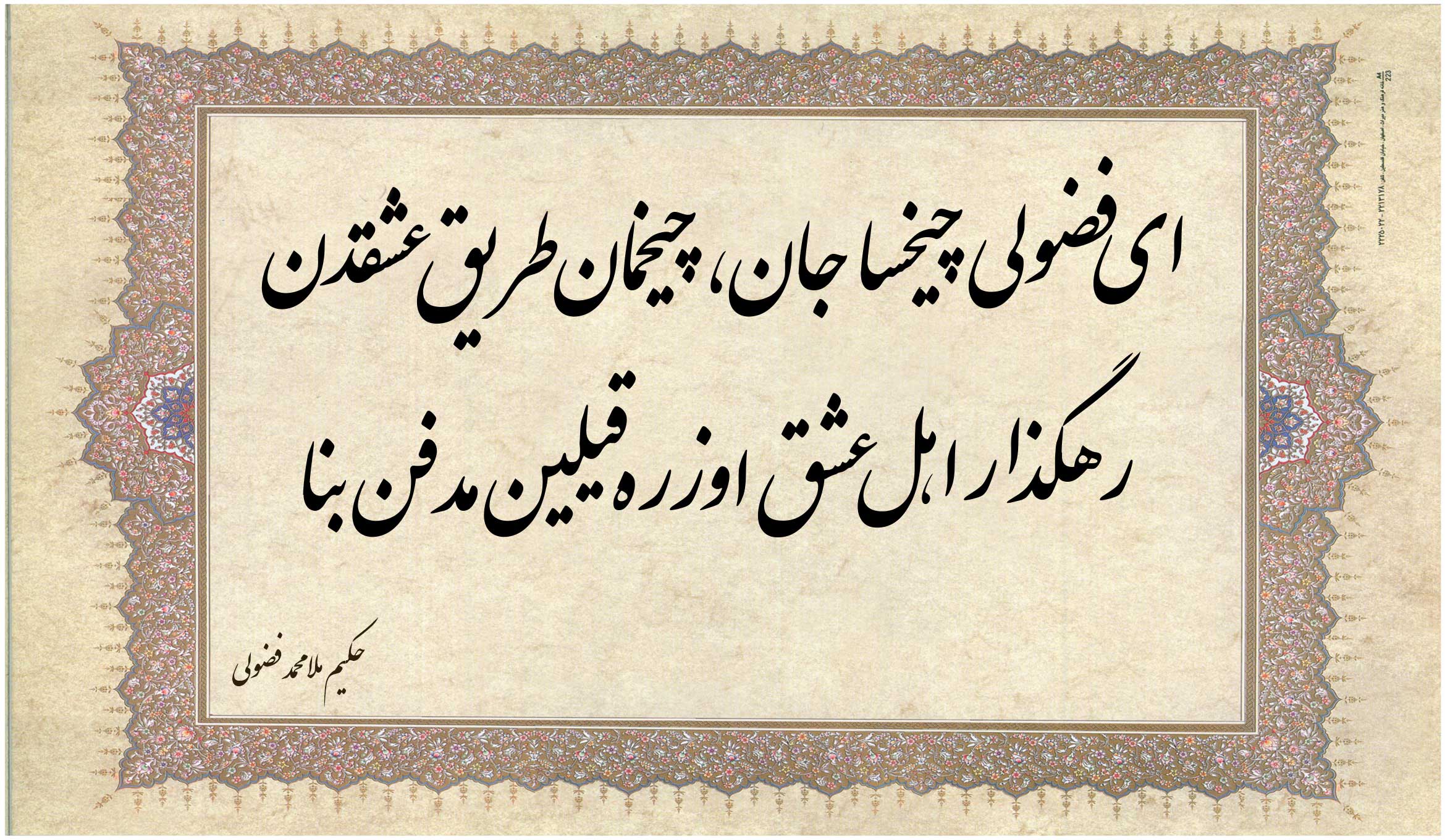 حکیم فضولی