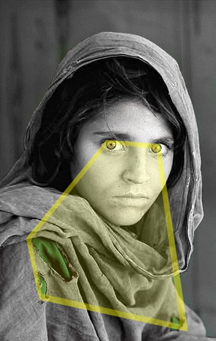 شربت گل