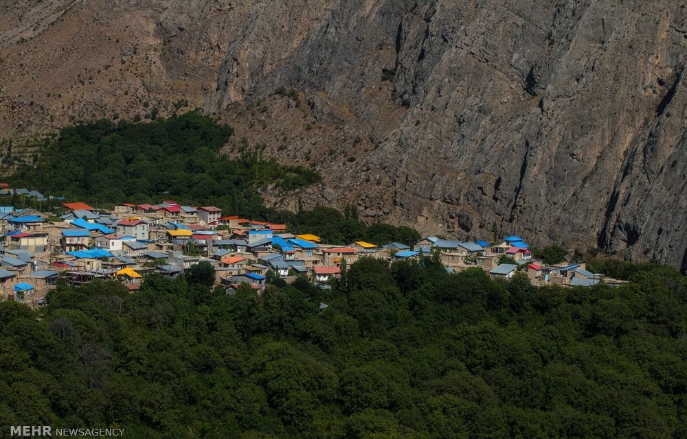 روستای هیر پایتخت زغال اخته ایران