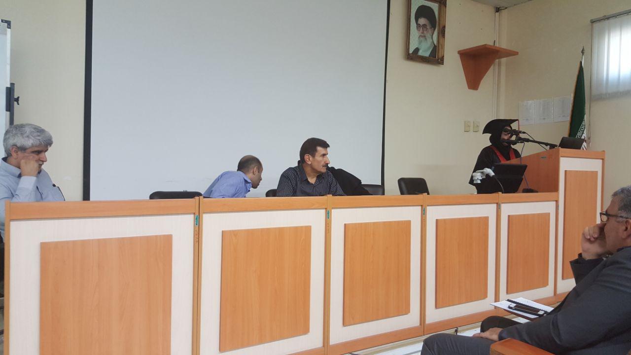 کبری عبدی زرینی 