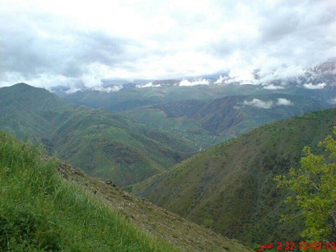 گواز