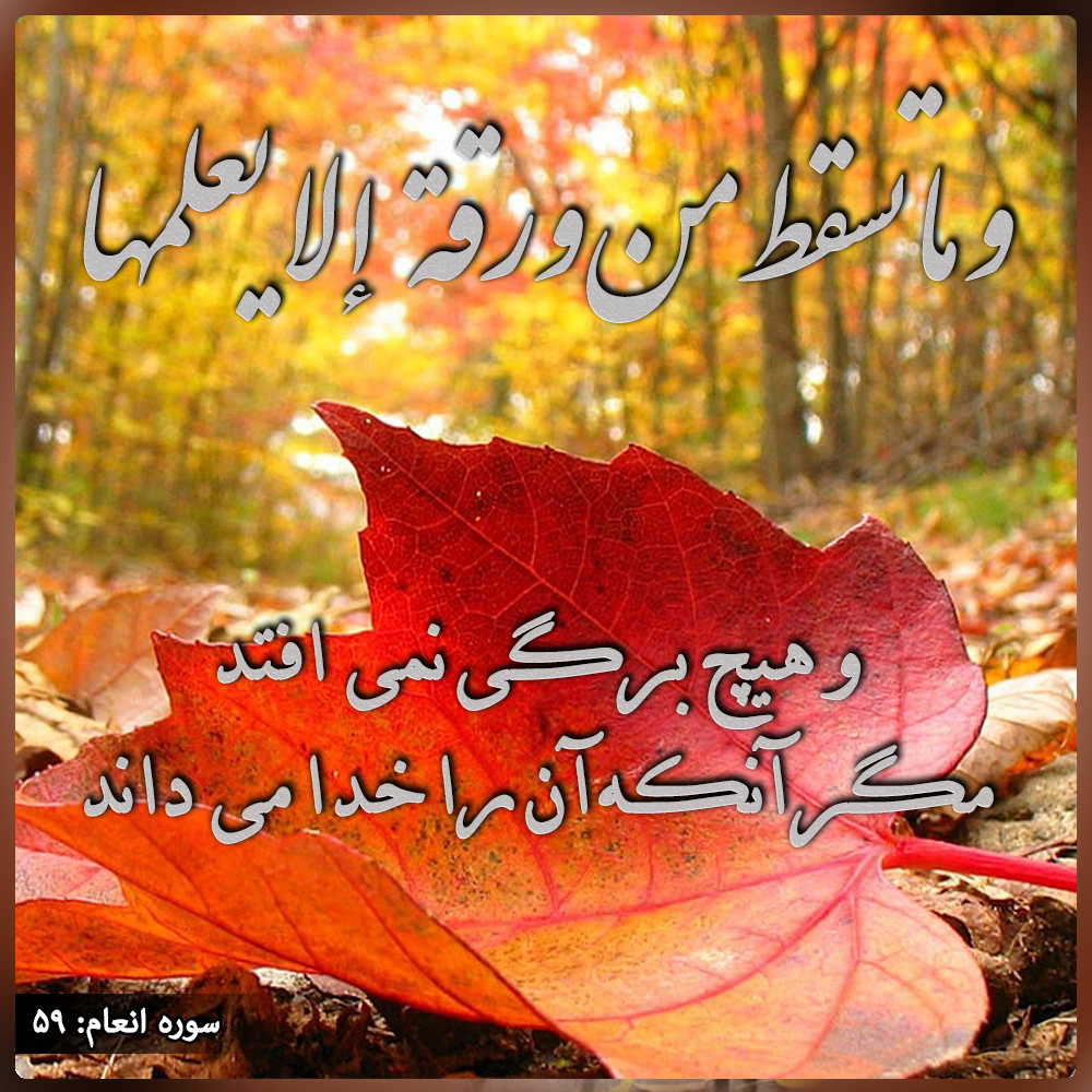 علم