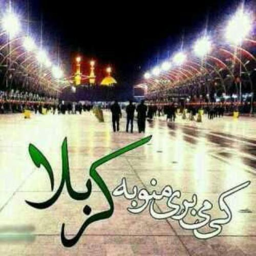 پاسخ به:پروفایل حسینی
