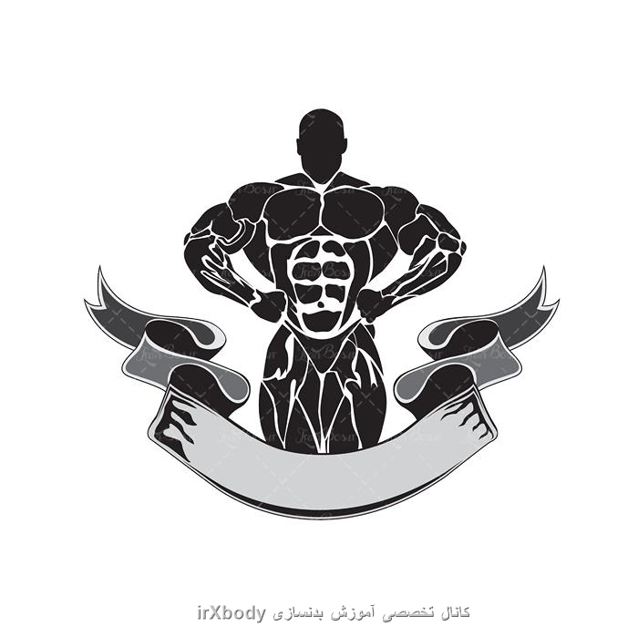 کانال irxbody
