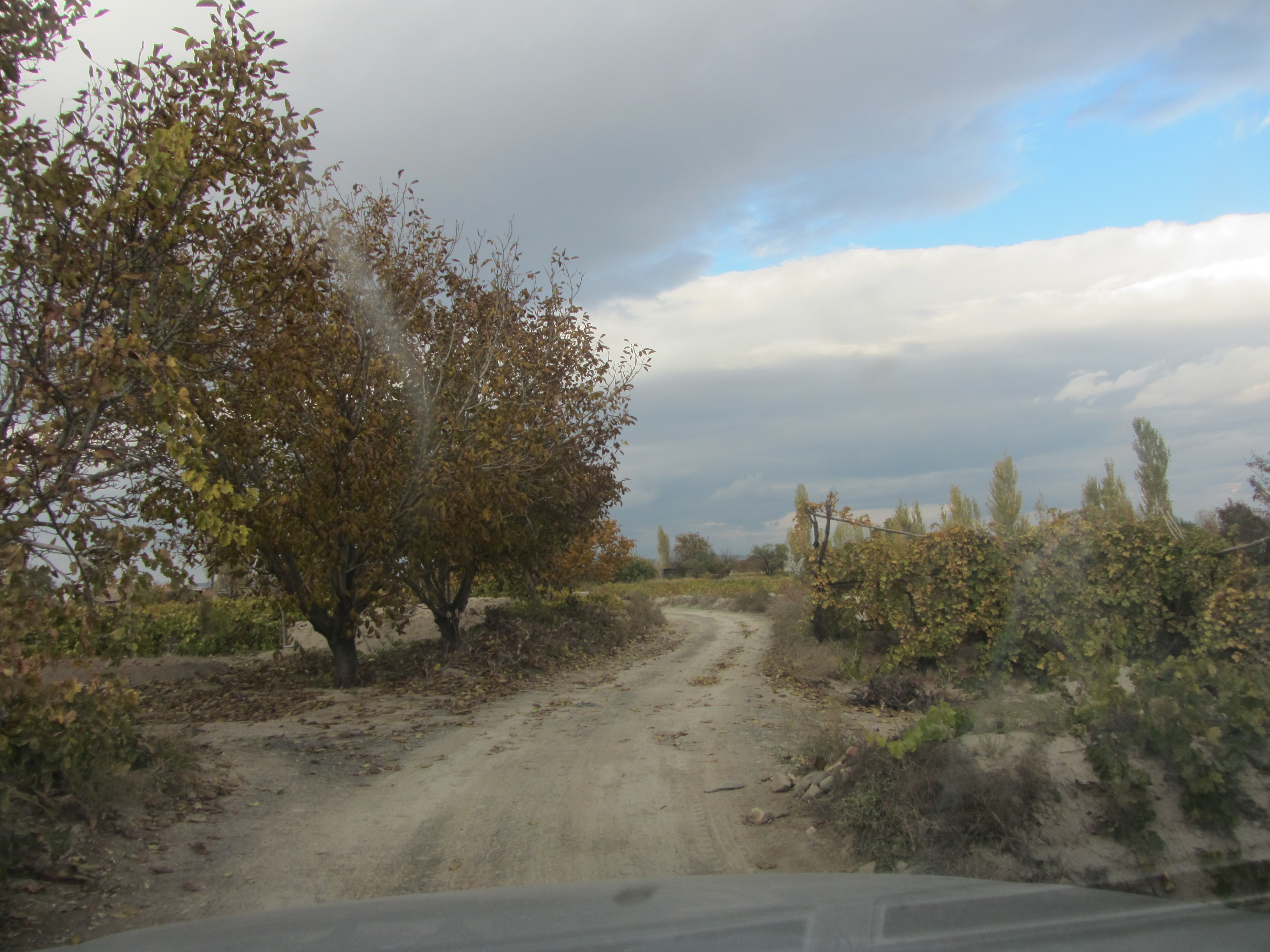 http://s8.picofile.com/file/8309759518/IMG_3055.JPG