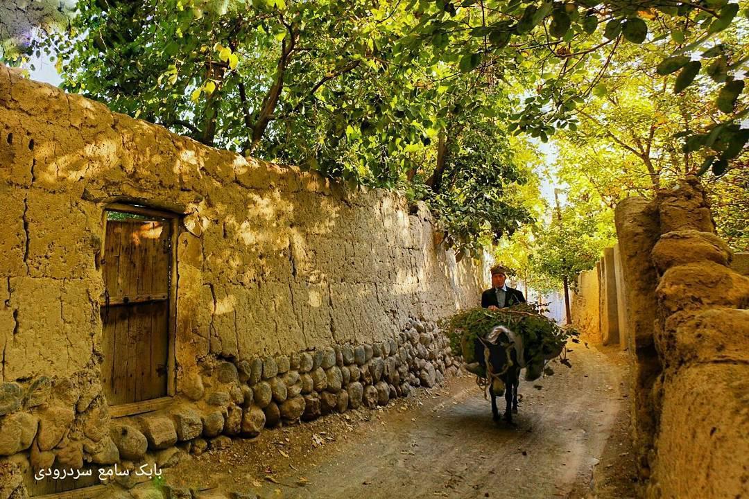 سردرود