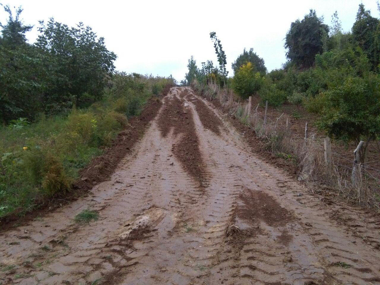 1_2_.jpg (1280×960)