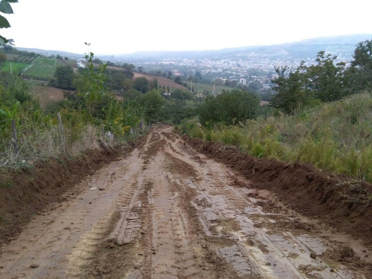 1_8_.jpg (1280×960)