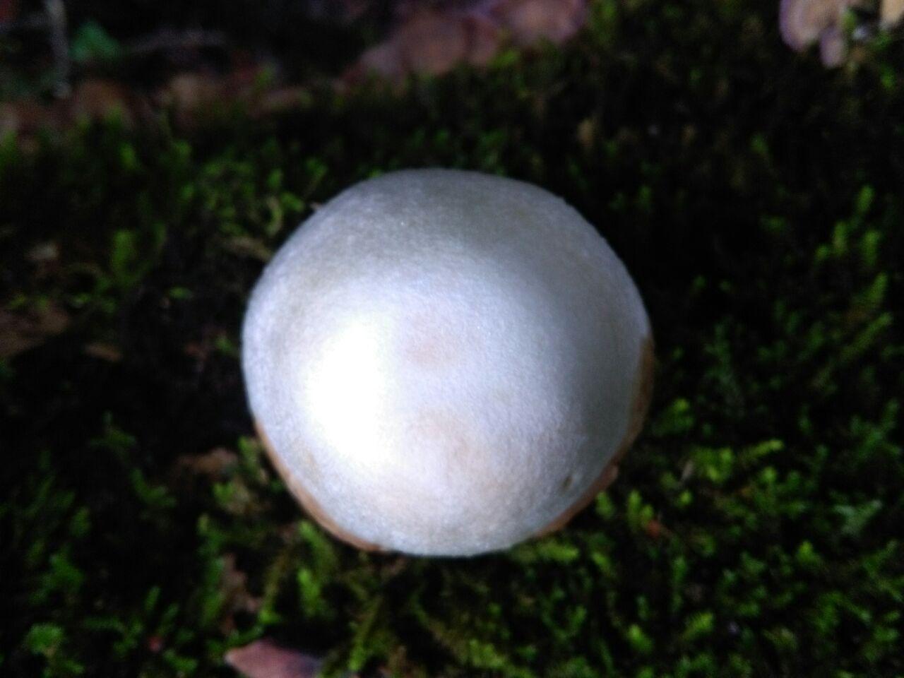 1_10_.jpg (1280×960)