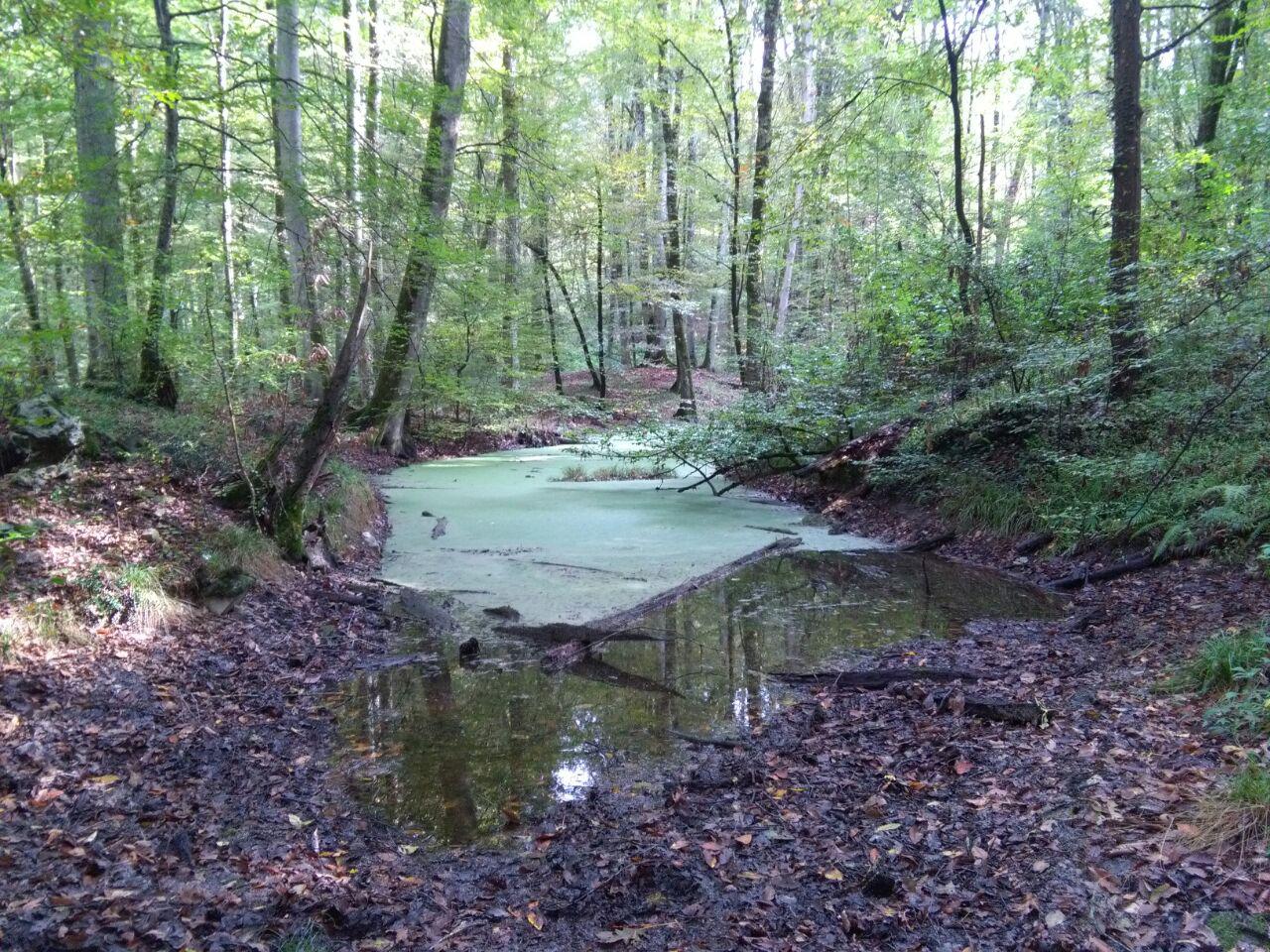 1_15_.jpg (1280×960)