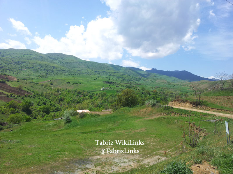 طبیعت گردی