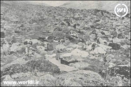 اجساد قربانیان