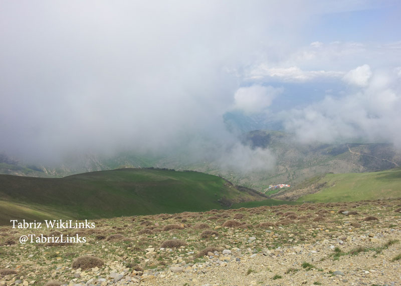 تور