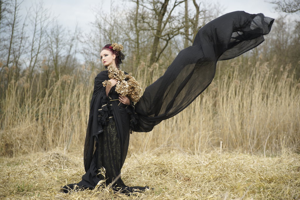 stock_gothic_flower_wind_field_1_by_s_t_a_r_gazer_d8pnvjq.jpg
