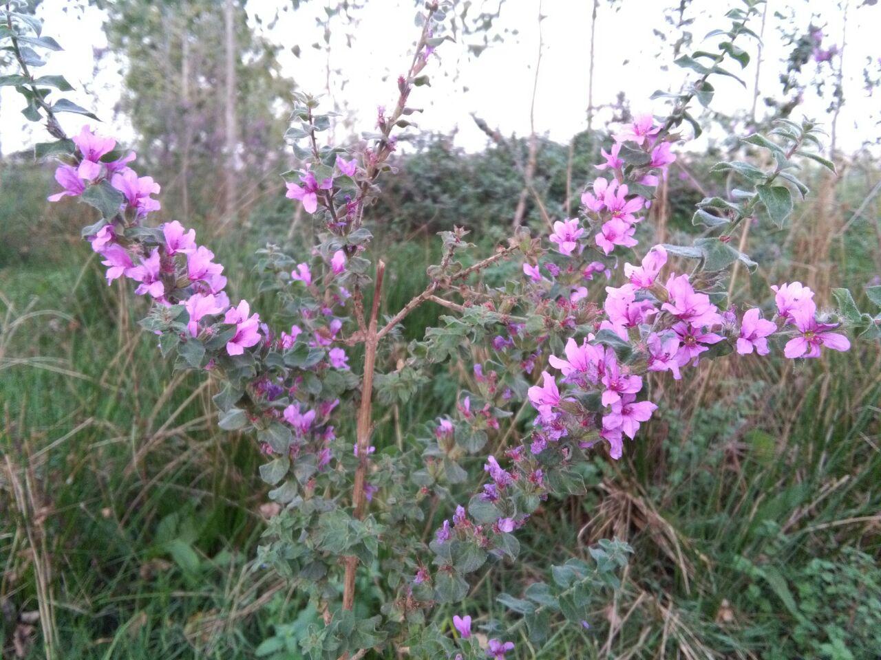 1_3_.jpg (1280×960)