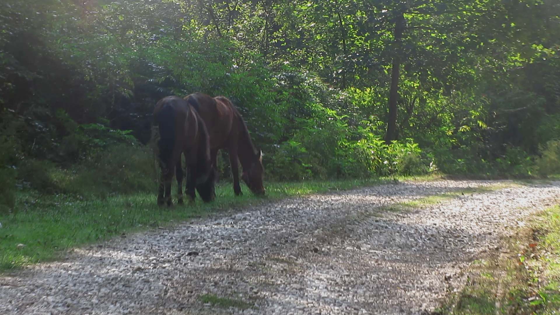 1_7_.jpg (1920×1080)