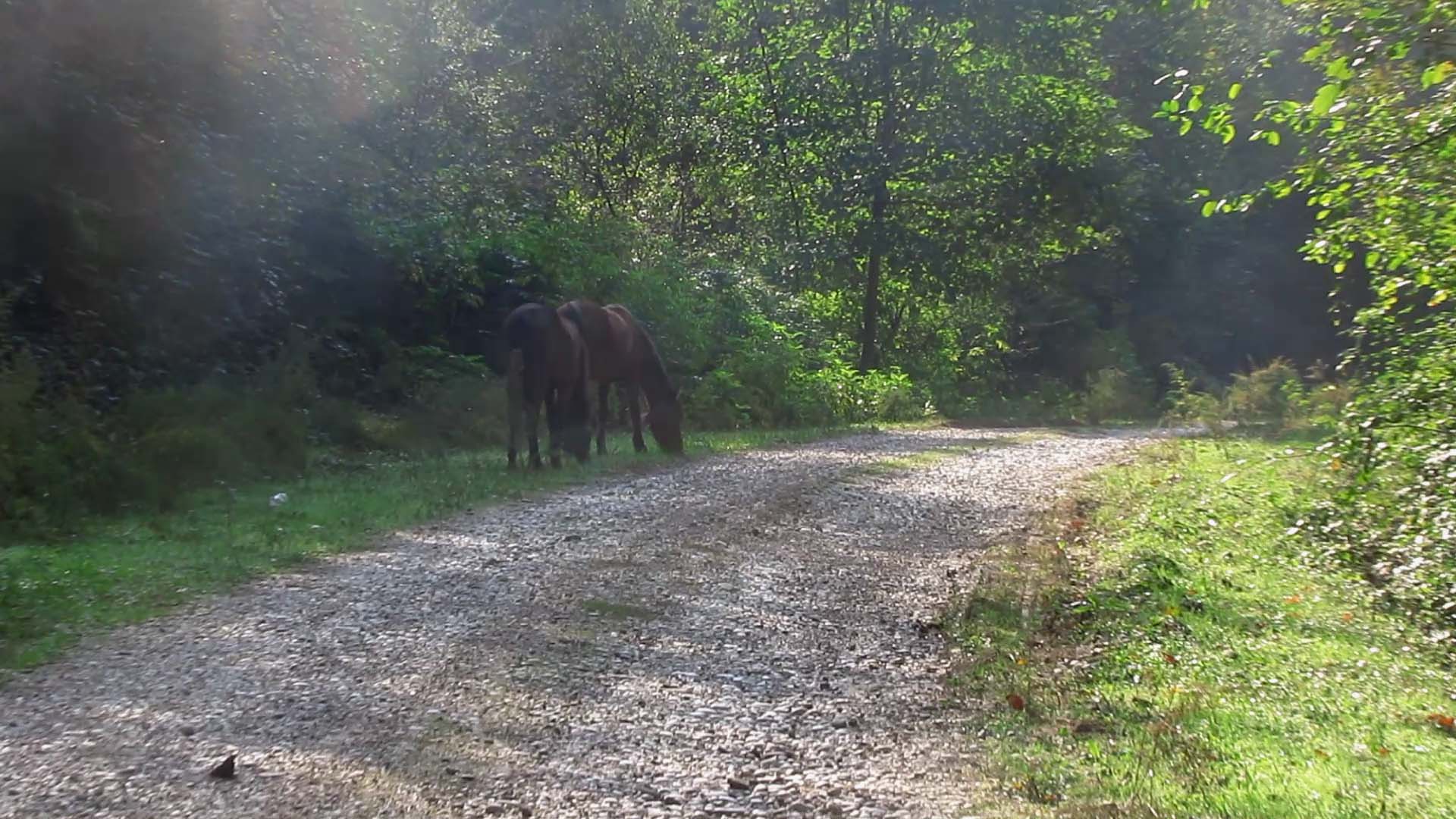 1_8_.jpg (1920×1080)