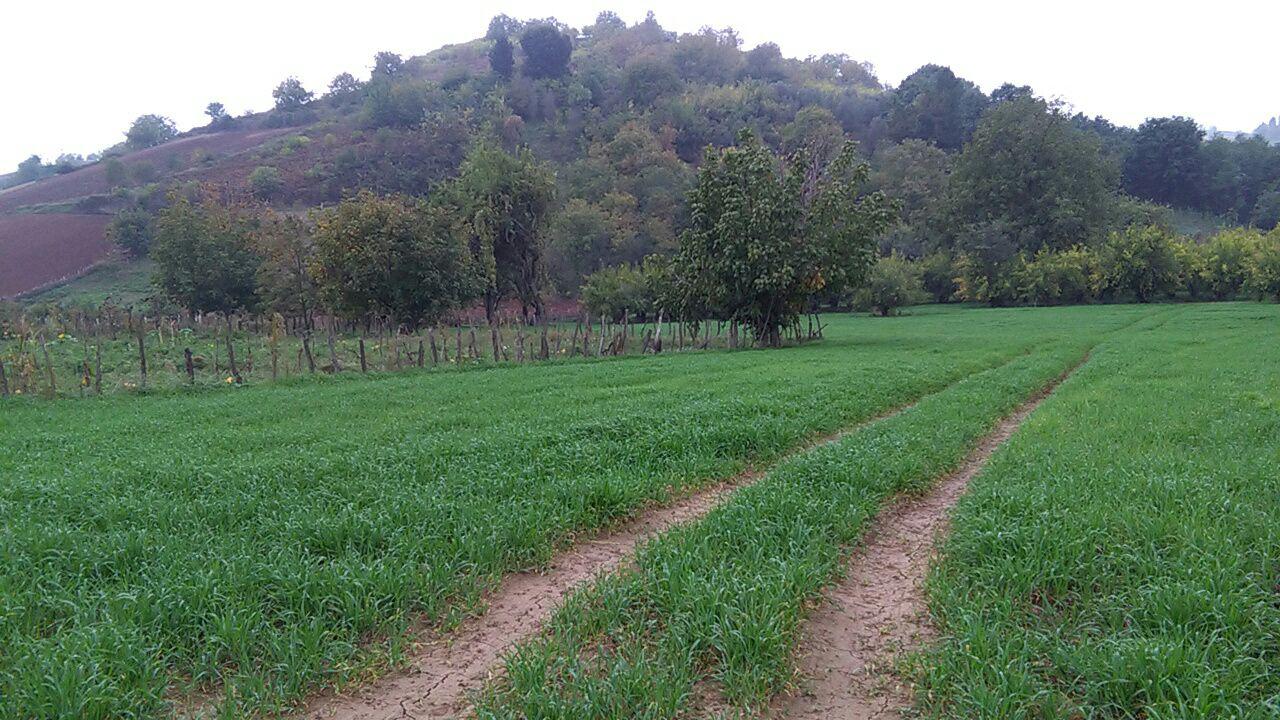 1_9_.jpg (1280×720)