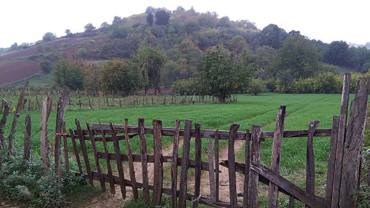 1_10_.jpg (1280×720)