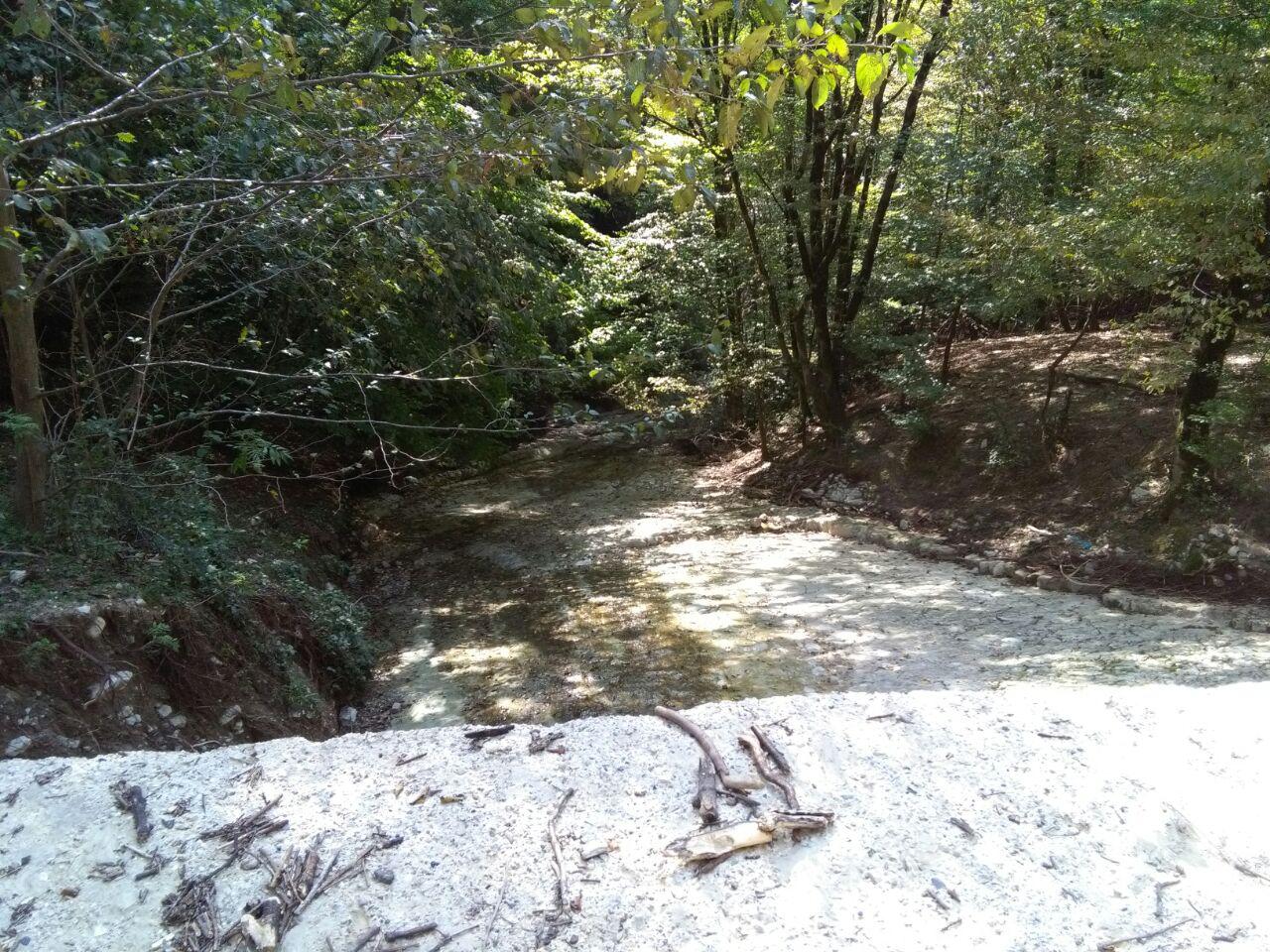 1_10_.jpg (1280×960)