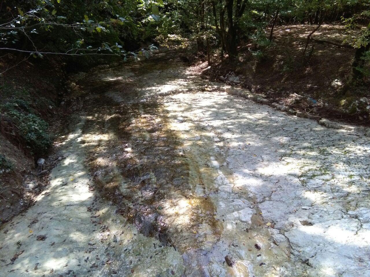 1_12_.jpg (1280×960)