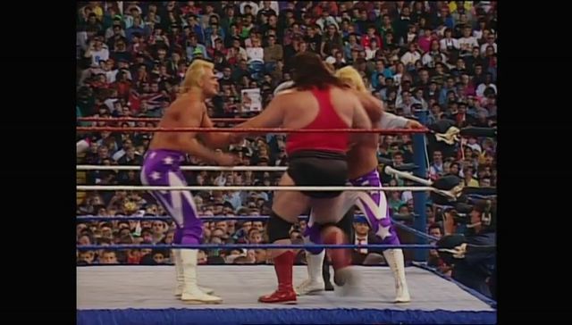 http://s8.picofile.com/file/8314291092/SummerSlam_1992_00023.jpg