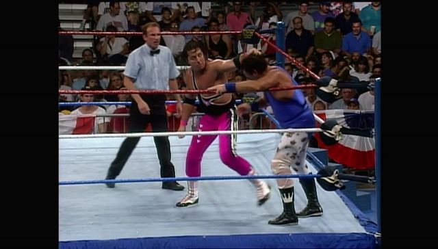 http://s8.picofile.com/file/8314297276/SummerSlam_1993_00032.jpg