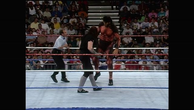 http://s8.picofile.com/file/8314297284/SummerSlam_1993_00043.jpg