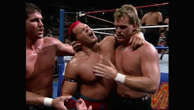http://s8.picofile.com/file/8314297300/SummerSlam_1993_00054.jpg