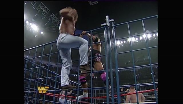 http://s8.picofile.com/file/8314299934/SummerSlam_1994_00035.jpg