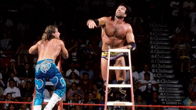 http://s8.picofile.com/file/8314302326/SummerSlam_1995_12.jpg