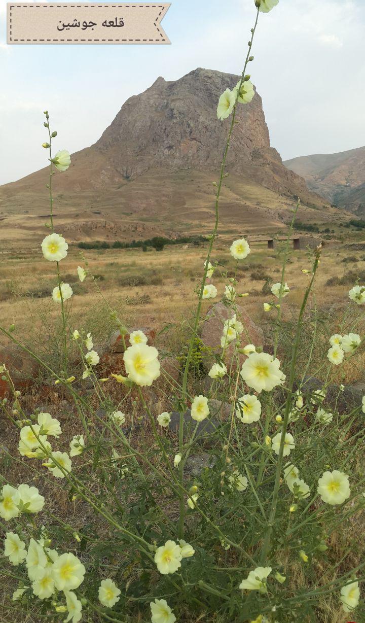 قلعه