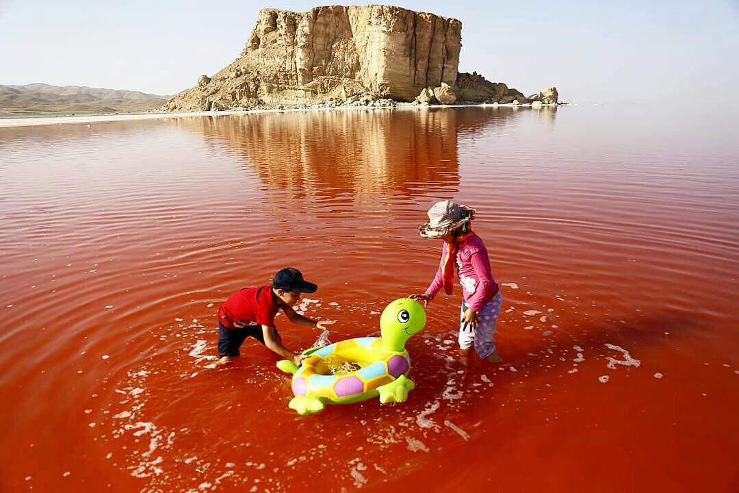نسل آینده