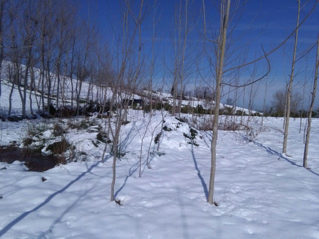 1_2_.jpg (1280×960)