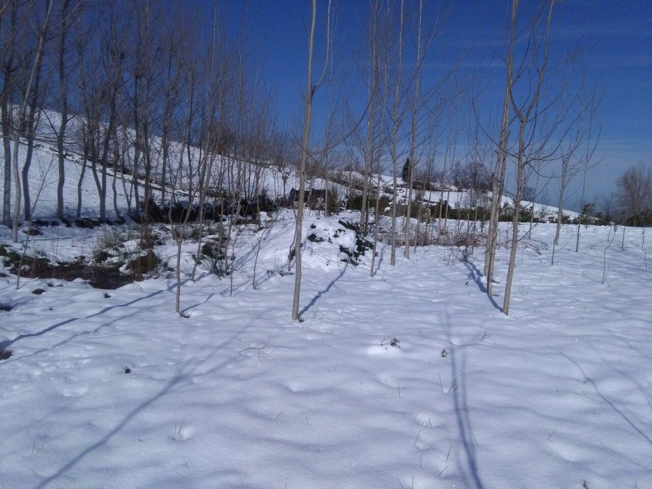 1_3_.jpg (1280×960)