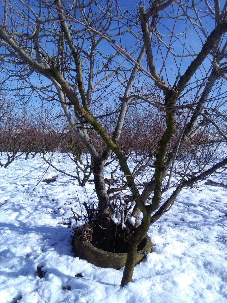 1_10_.jpg (960×1280)