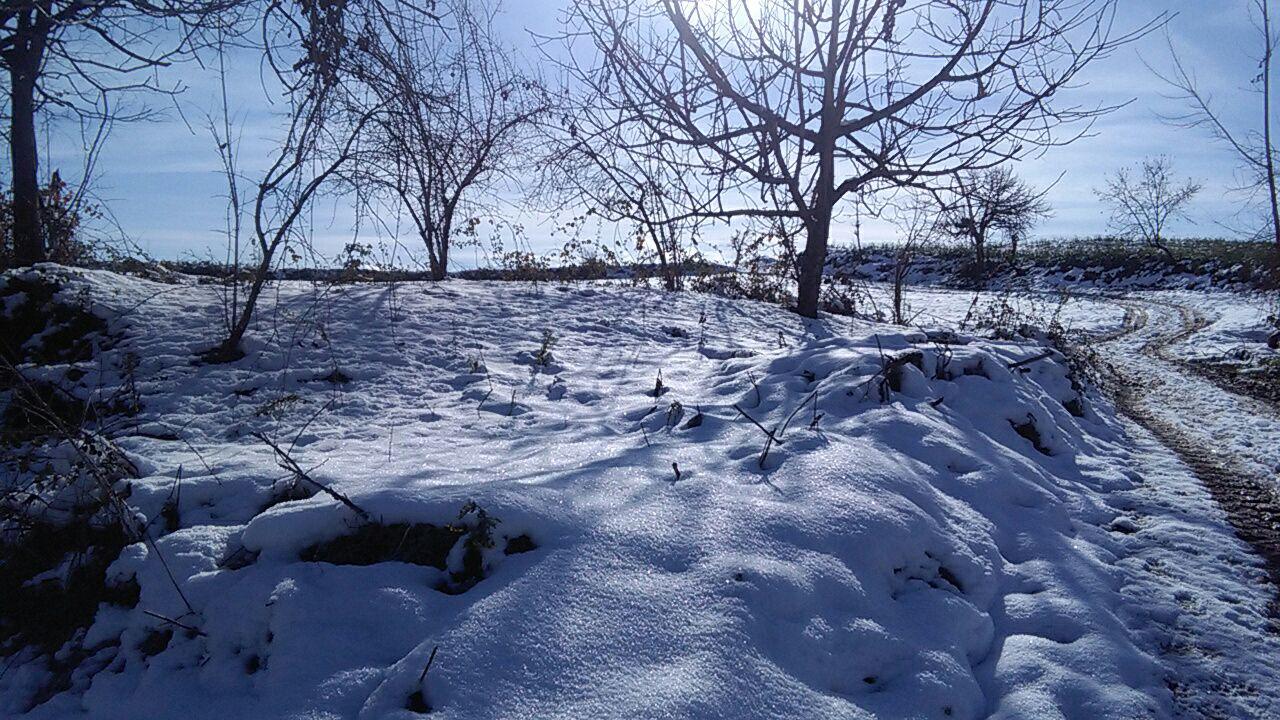 1_12_.jpg (1280×720)