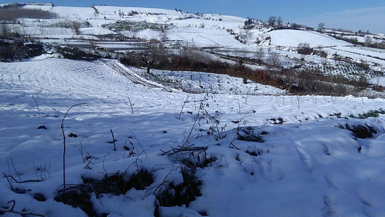 1_20_.jpg (1280×720)