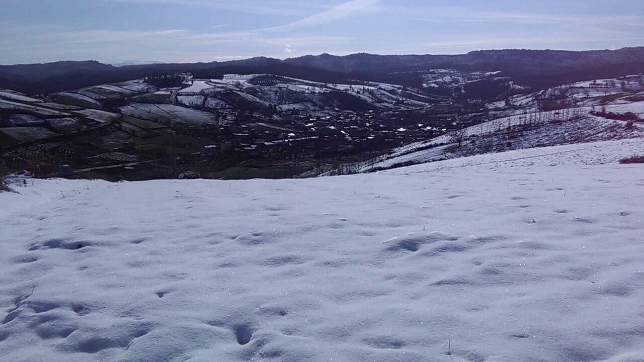 1_23_.jpg (1280×720)