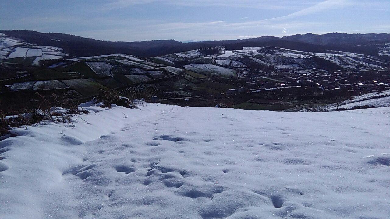 1_25_.jpg (1280×720)