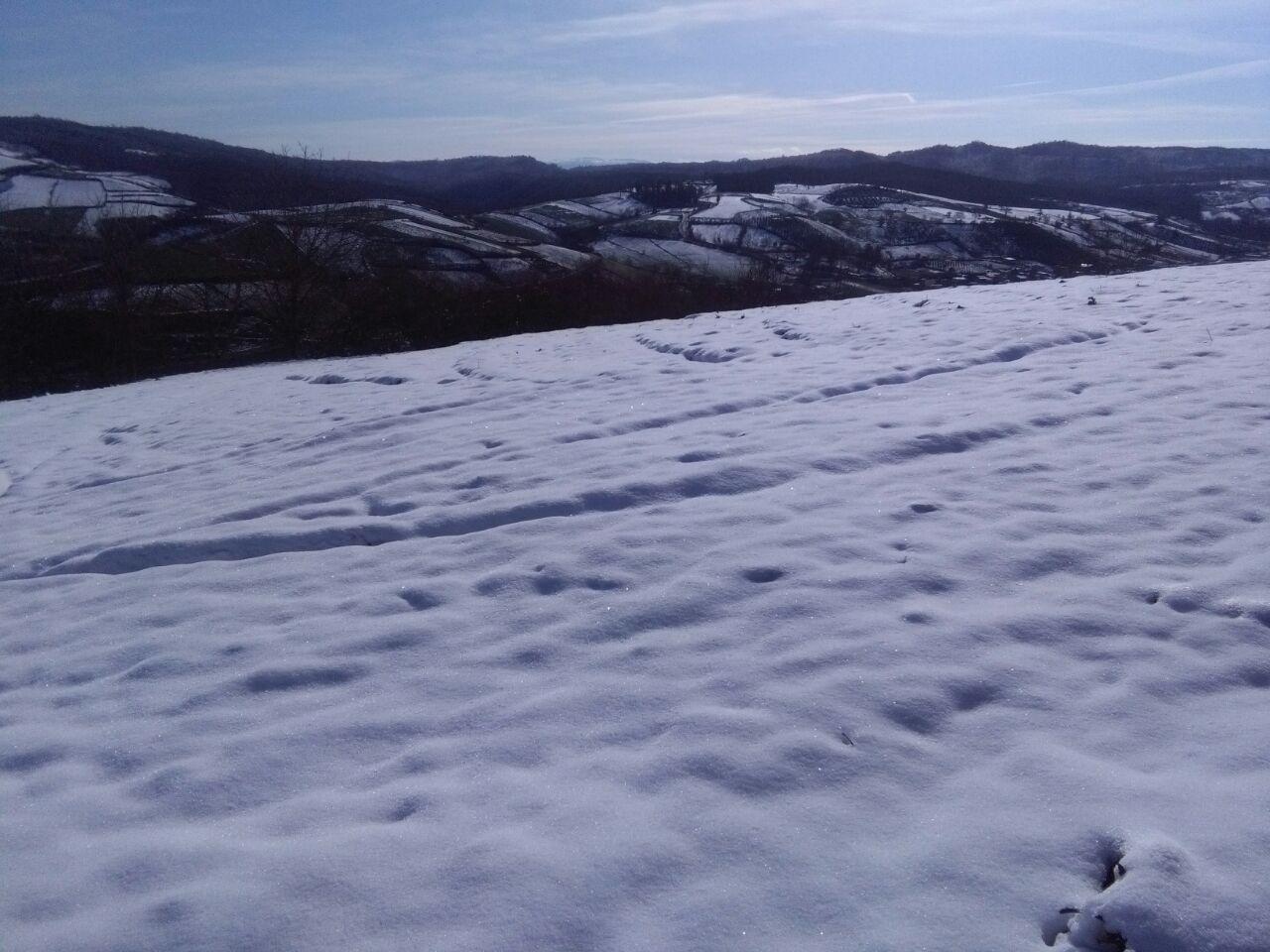 1_32_.jpg (1280×960)