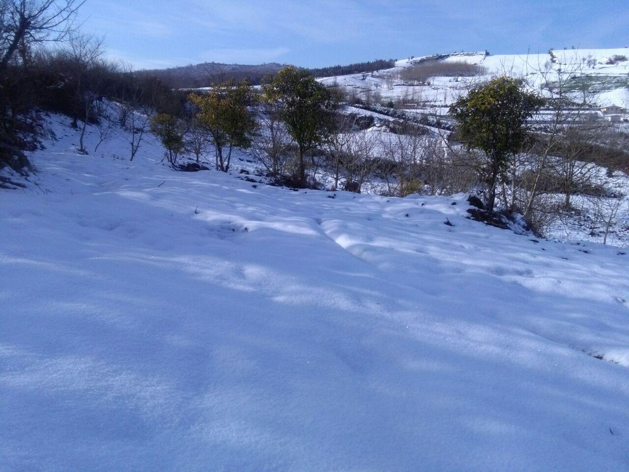 1_36_.jpg (1280×960)