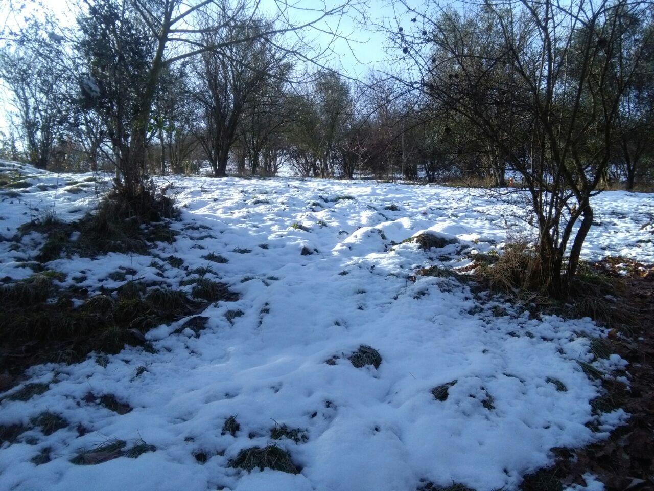 1_45_.jpg (1280×960)