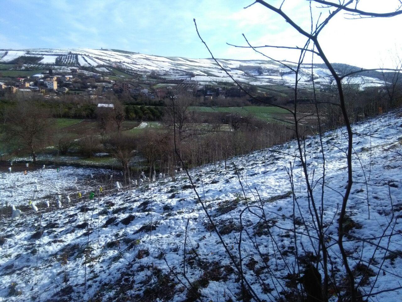 1_49_.jpg (1280×960)